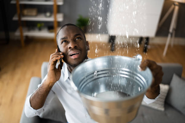 Best 24/7 water damage repair  in Guerneville, CA