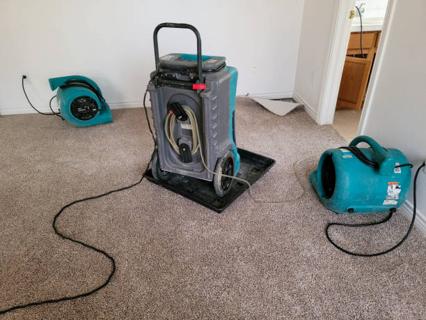 Best Flood damage cleanup  in Guerneville, CA