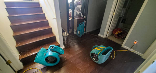 Best Flood restoration services  in Guerneville, CA