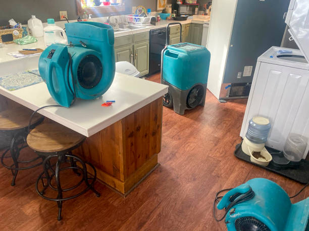 Best Water damage contractors near me  in Guerneville, CA