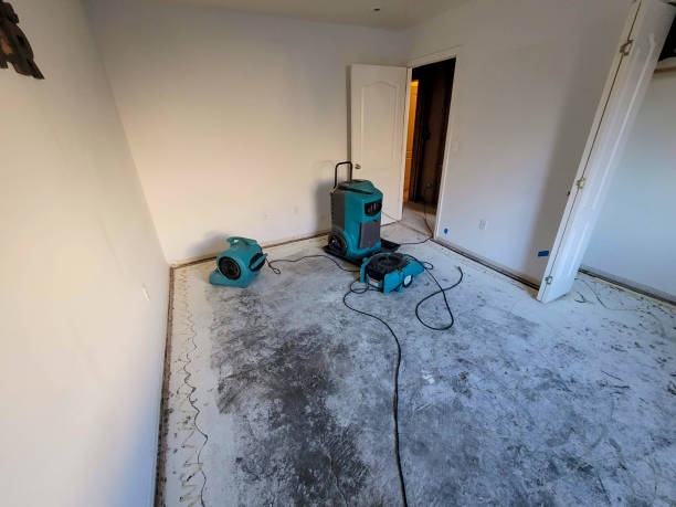 Best Fire Damage Restoration  in Guerneville, CA