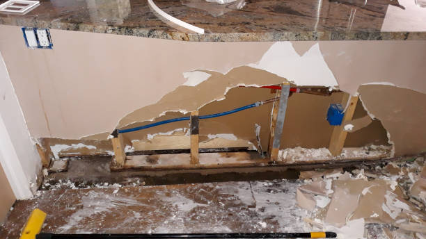 Best Water damage restoration services  in Guerneville, CA