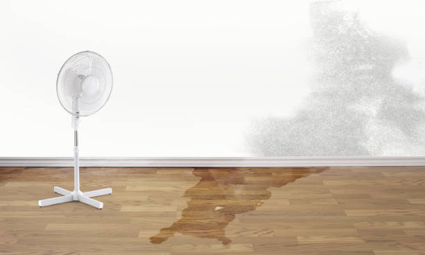 Best Water damage restoration near me  in Guerneville, CA