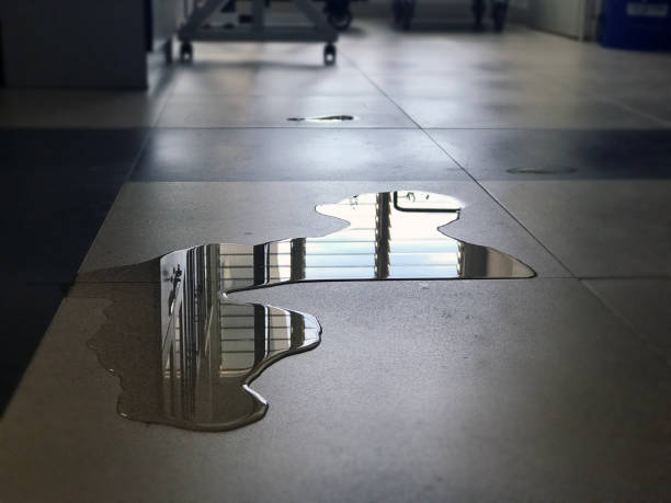 Best 24-hour water damage restoration  in Guerneville, CA