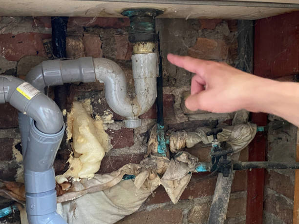 Best Flooded house restoration  in Guerneville, CA