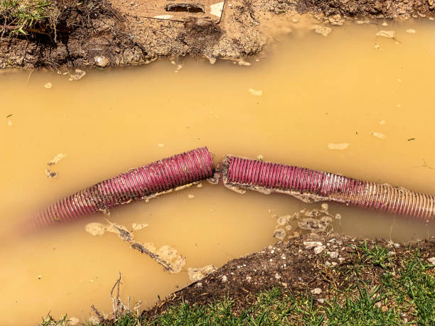 Best Carpet water damage restoration  in Guerneville, CA